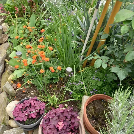 Habitación en casa particular Zorec *