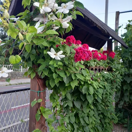 Rum i privatbostad Zorec *