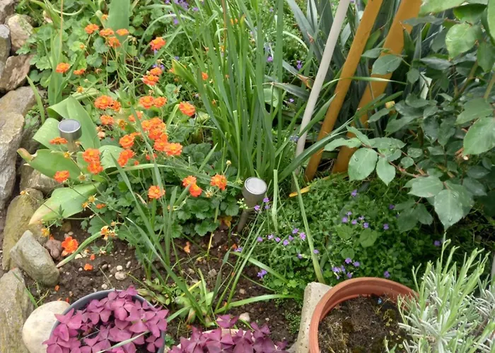 Séjour chez l'habitant Zorec *